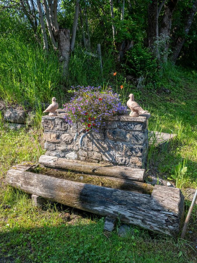 Superbe Ferme Renovee En Chalet De Luxe En Pleine Nature バルスロネット エクステリア 写真